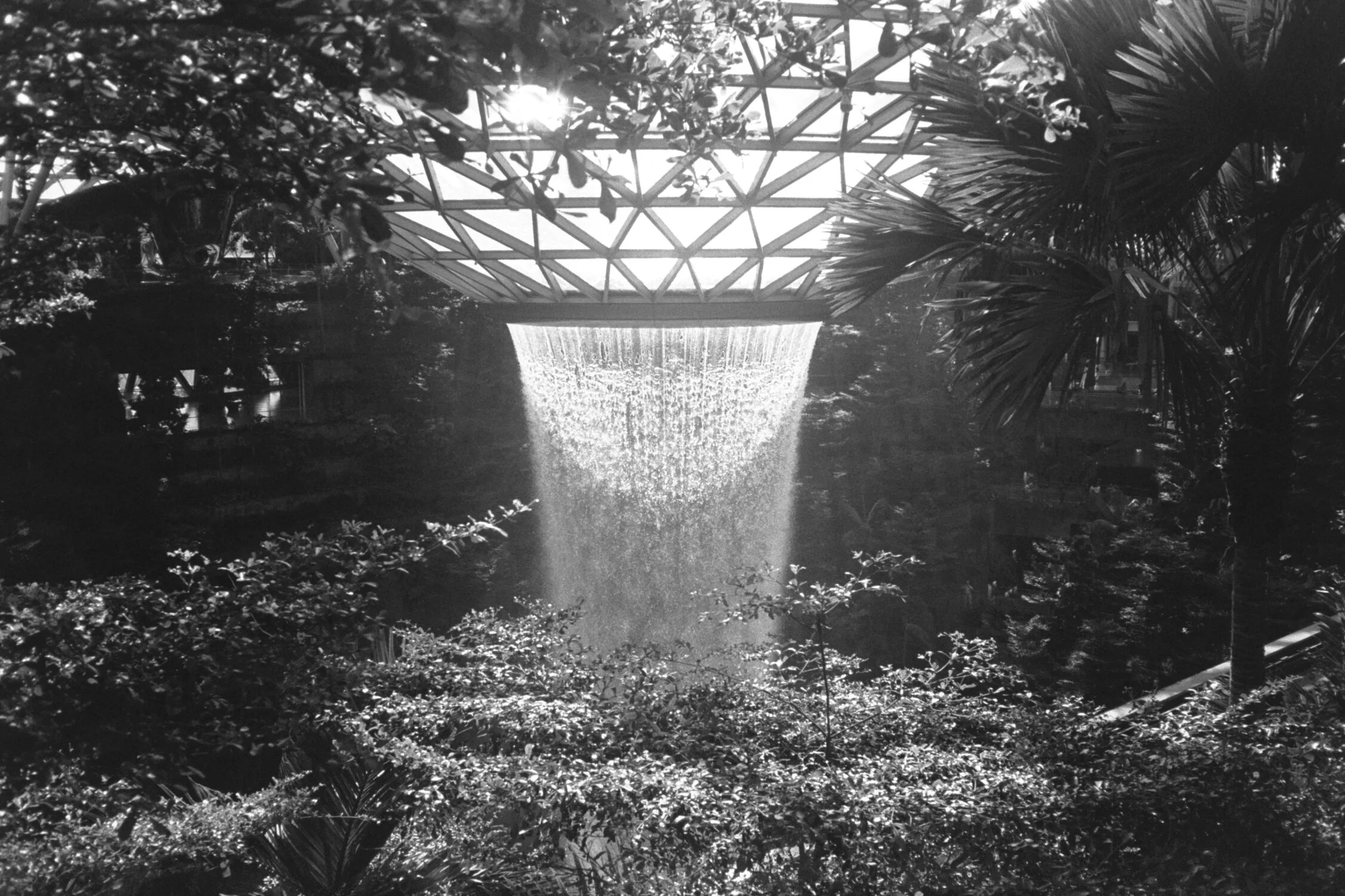 2020 Thailand film-023.jpg