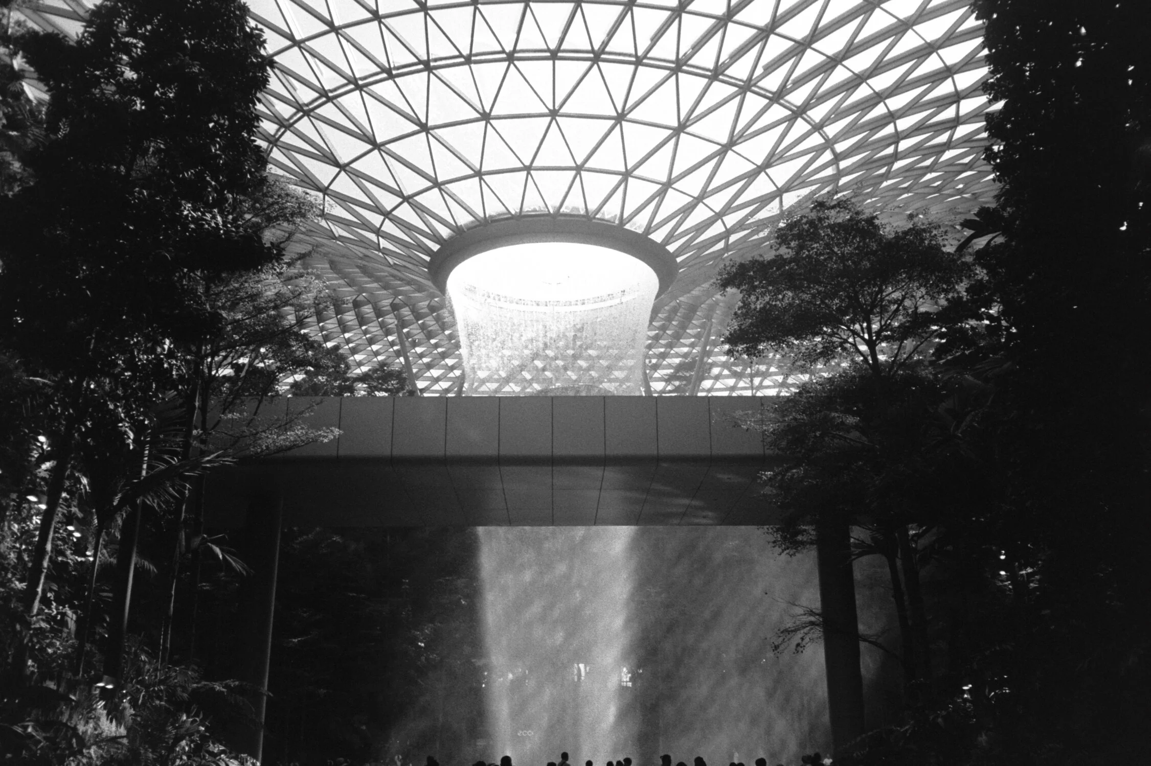 2020 Thailand film-022.jpg