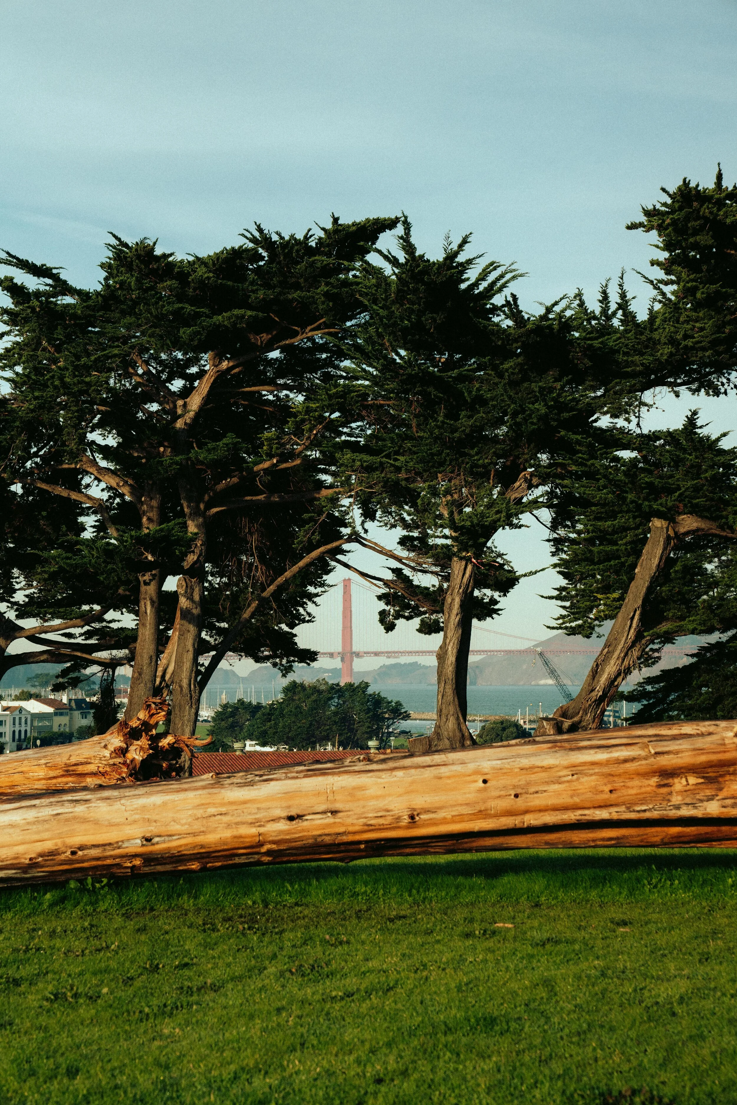 westcoast+trip_2020-09500.jpg
