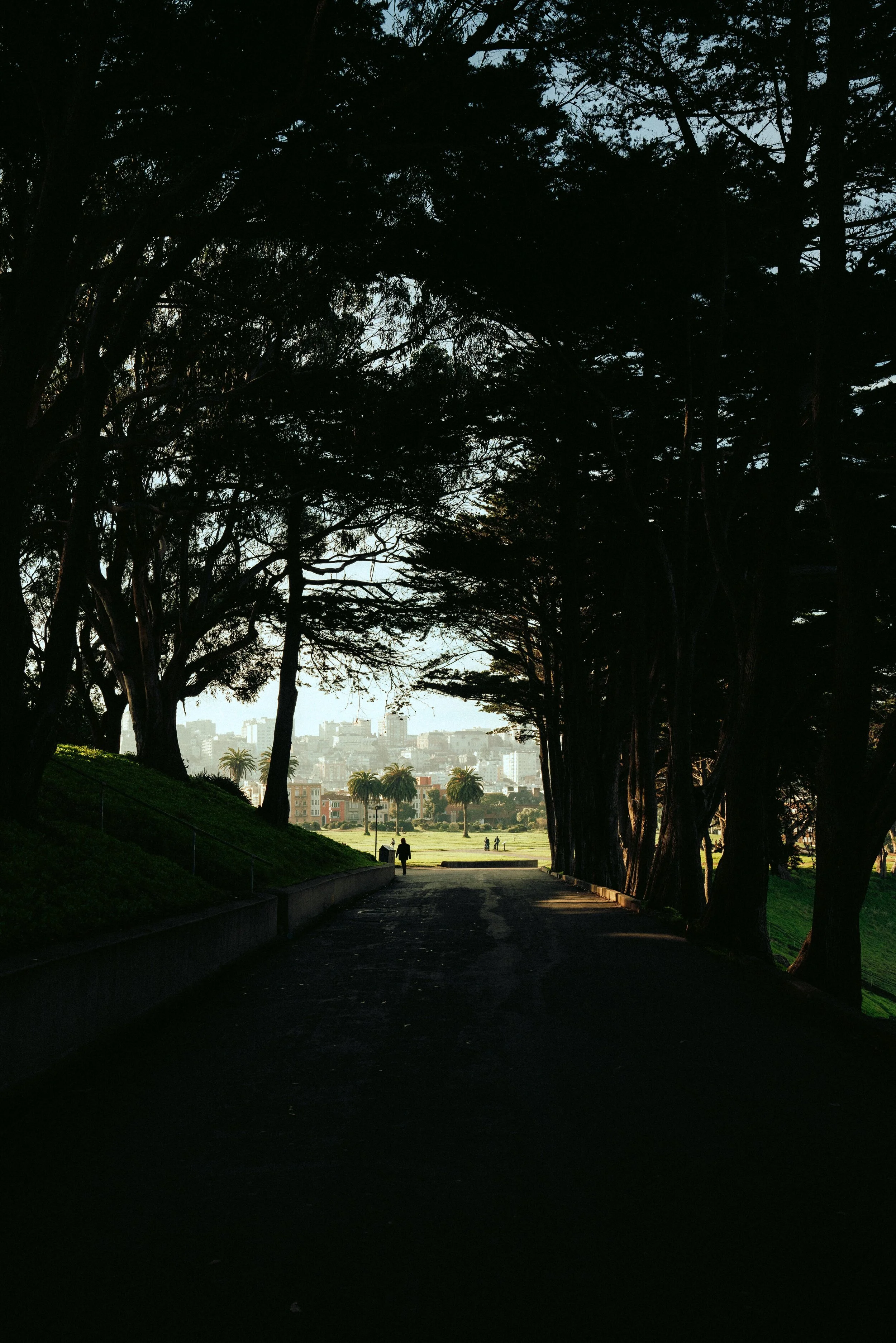 westcoast+trip_2020-09498.jpg