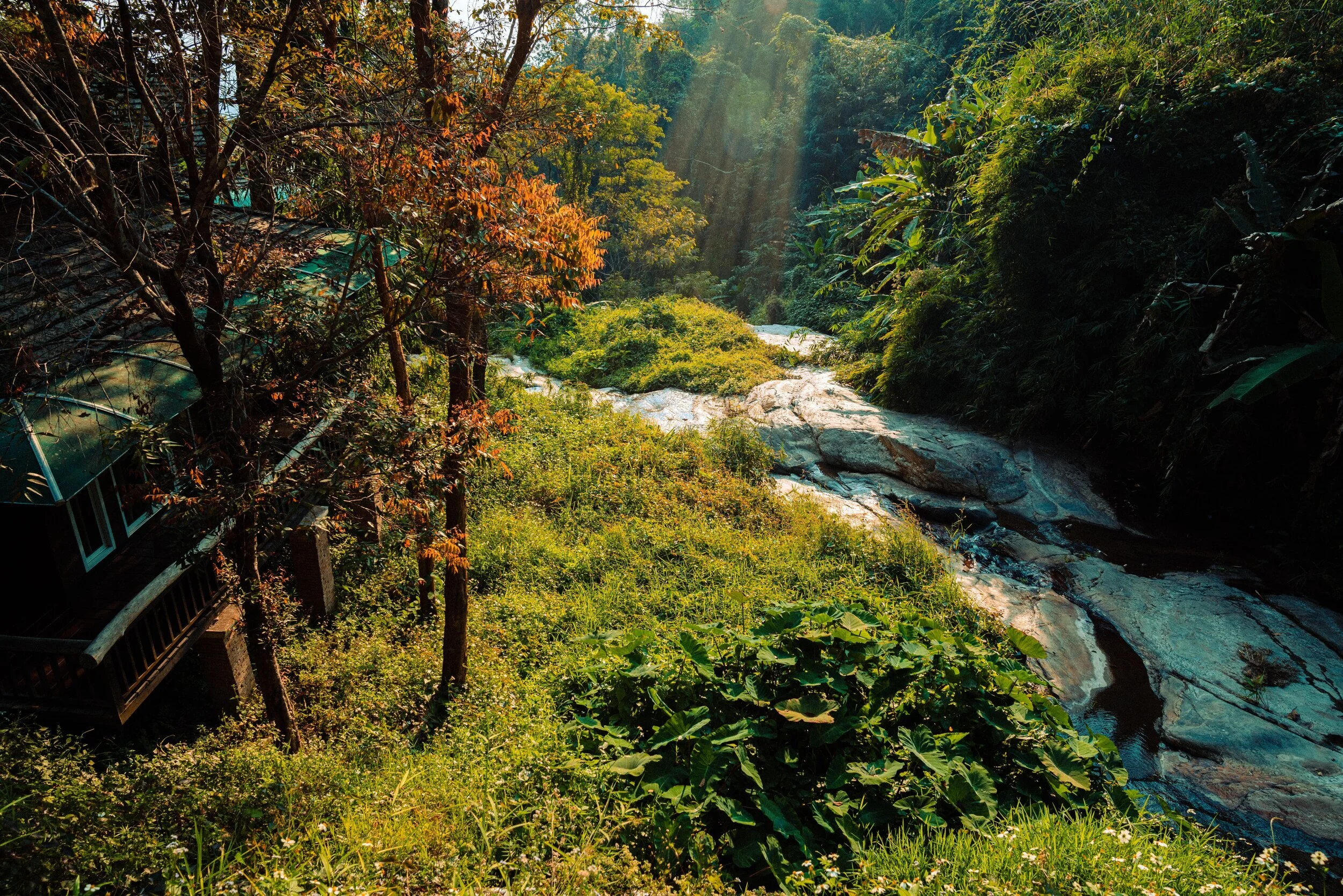 Thailand_web-00093.jpg