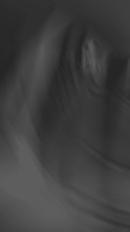 sue bird_matthew lejune.gif