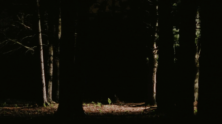 undefined-high (1).gif