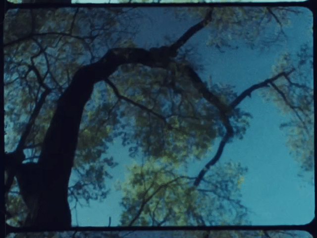 Stockbridge_Vingette 10_Master-high.gif