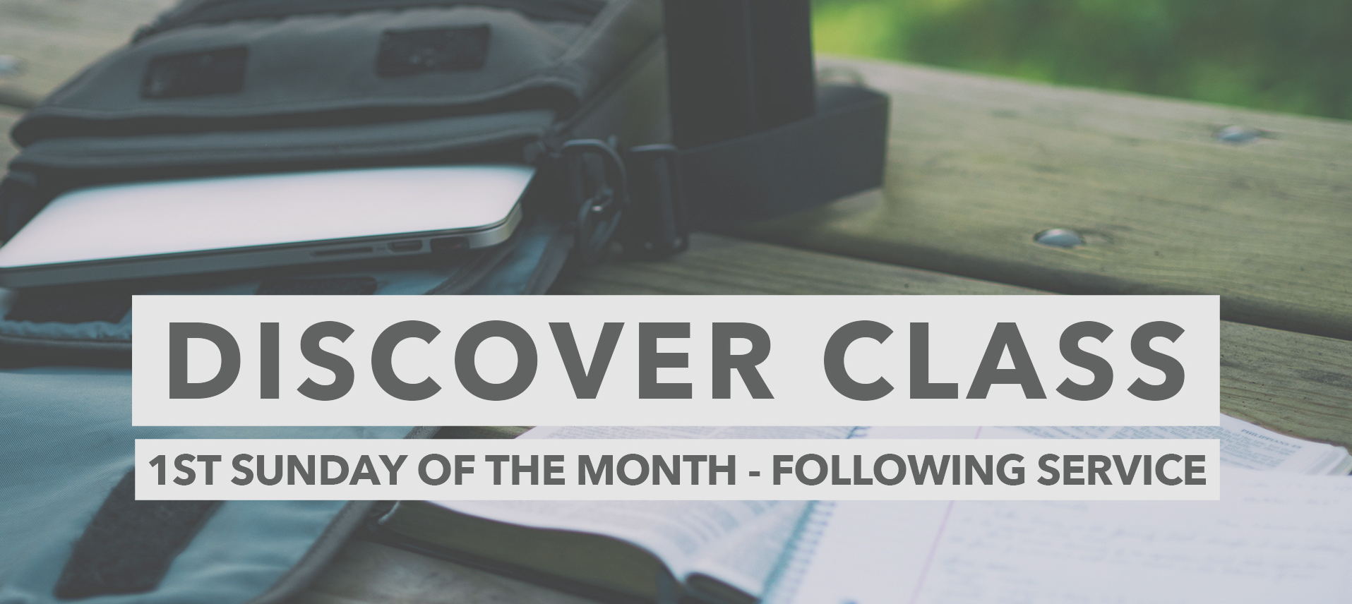 Discover Banner.jpg
