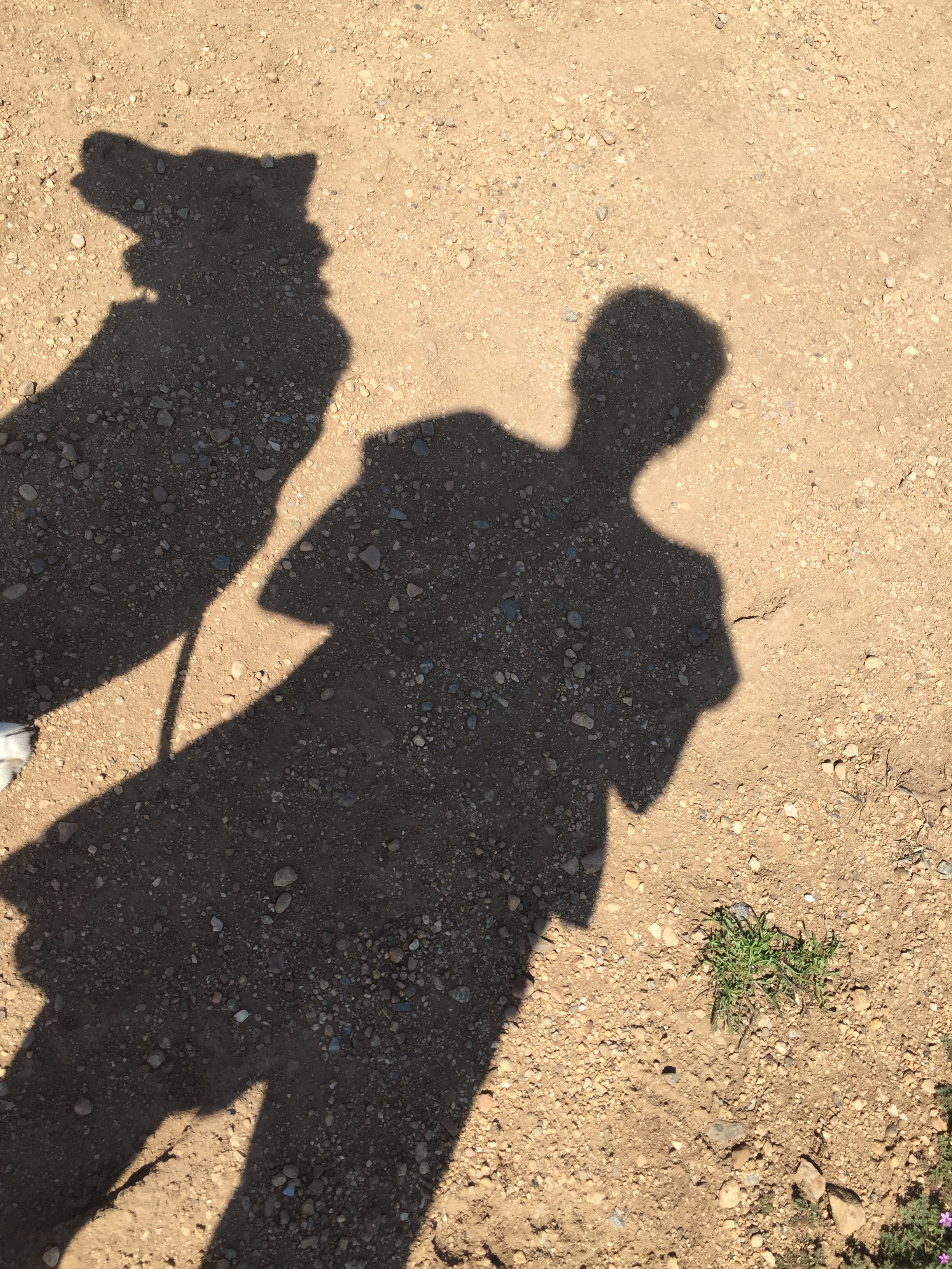 25 Random Things About Me