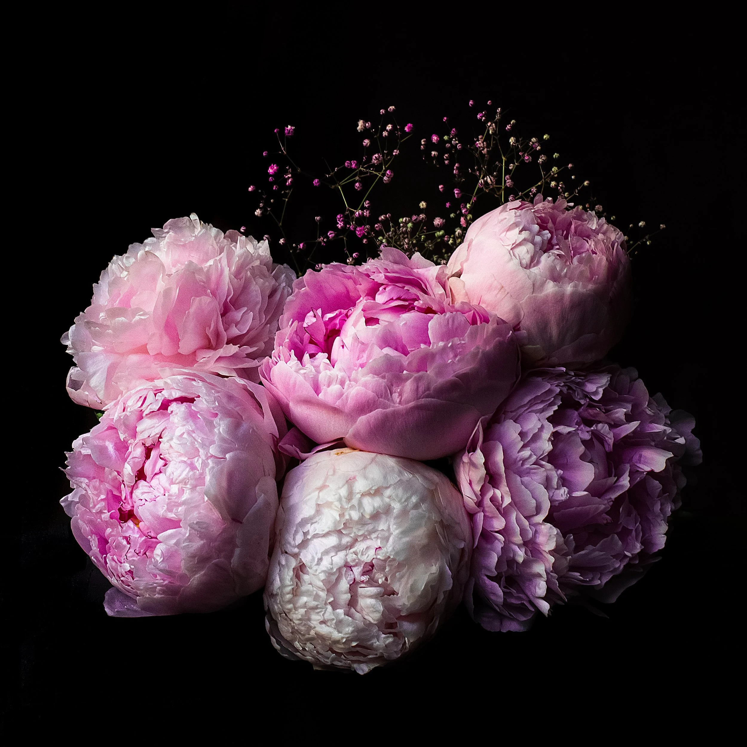 Never Say No to Peonies