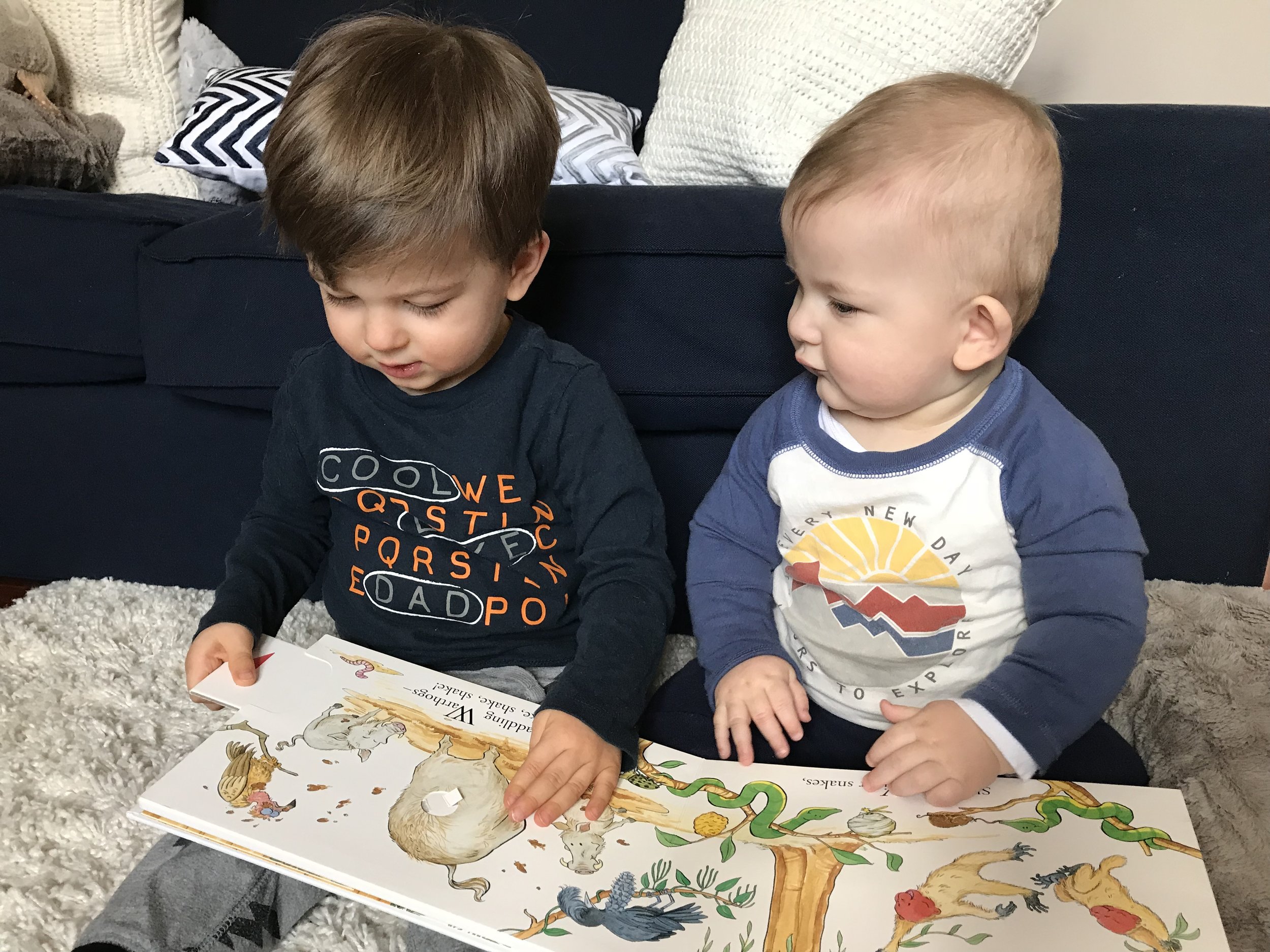 Our Current Faves: Toddler Approved Books