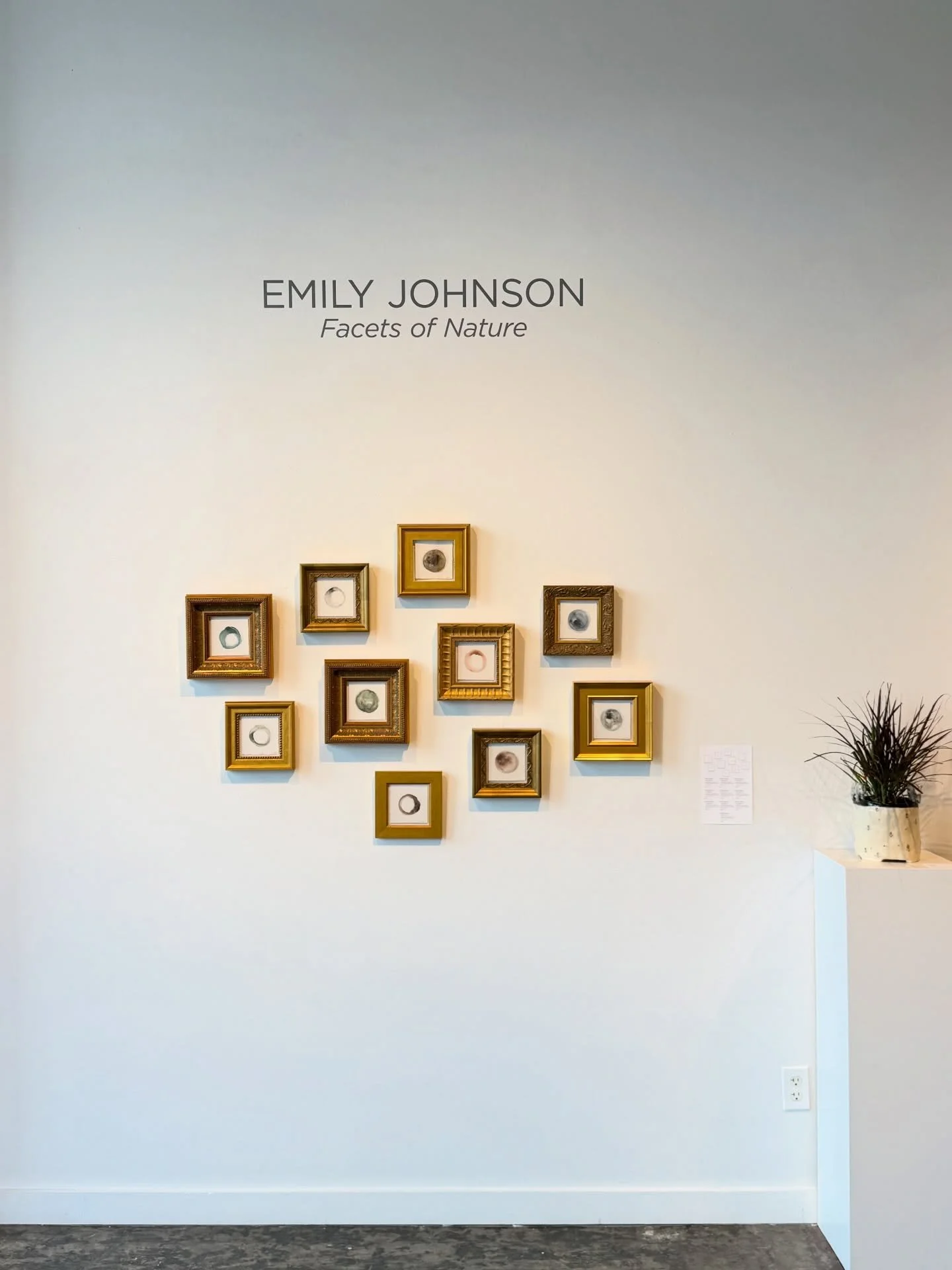 My show opened last week, and I just wanted to say thank you to everyone who came to the opening! Your support truly means a lot. It&rsquo;s an emotional experience being surrounded by your own work, and I feel incredibly grateful. It&rsquo;s an hono