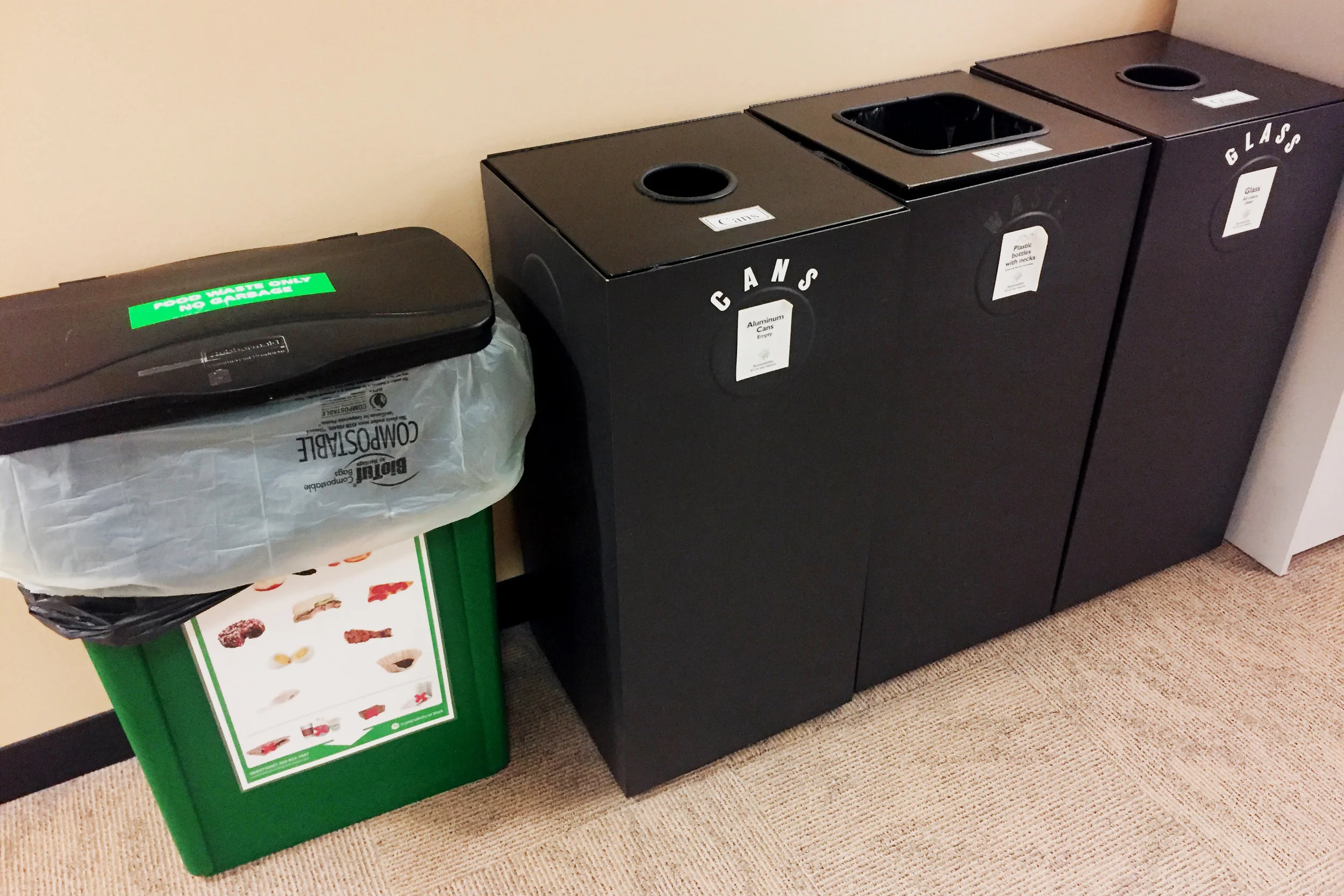 bins.jpg