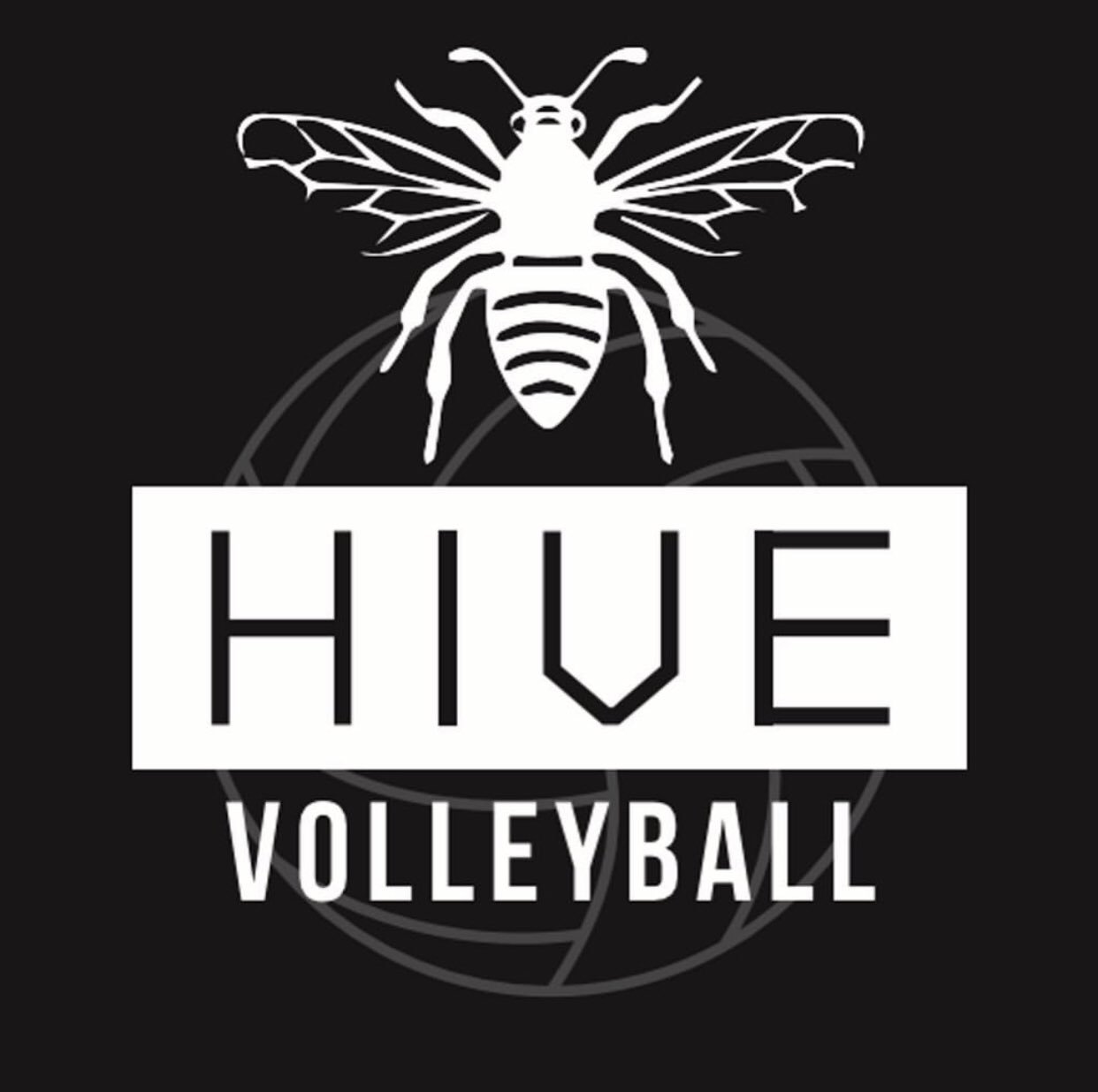 The Hive Volleyball Club