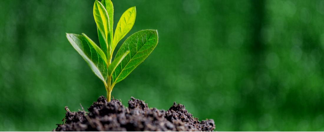 The newly revised ISO 14001:2026 is out now