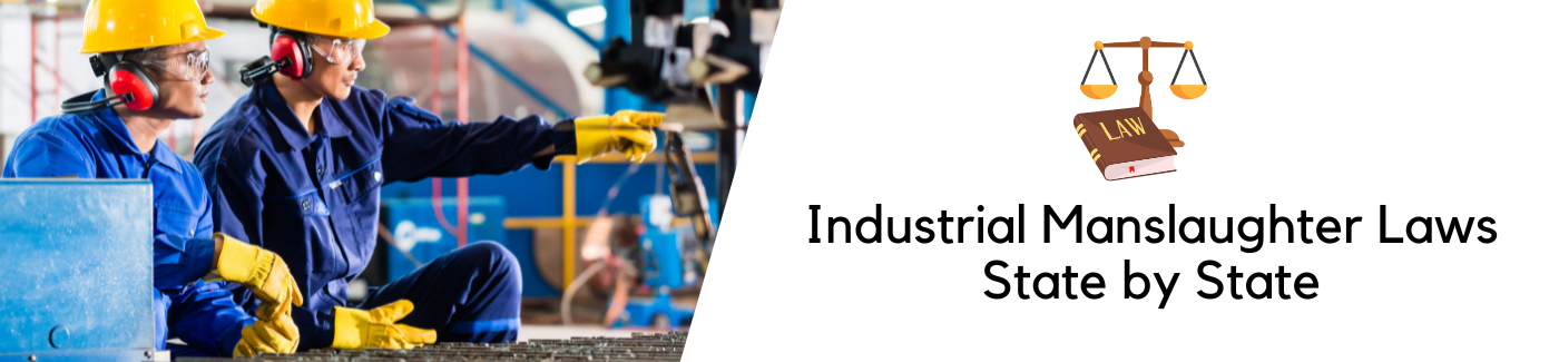 Industrial Manslaughter Laws State by State — Certex International
