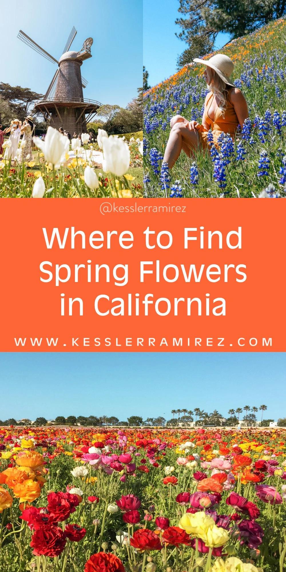 Where to Find Spring Flowers in California Kessler Ramirez Art & Travel