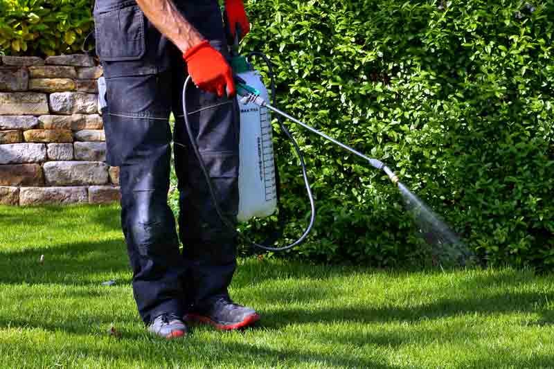 homeguide-lawncare-professional-spraying-weed-killer-on-lawn-thumbnail.jpg