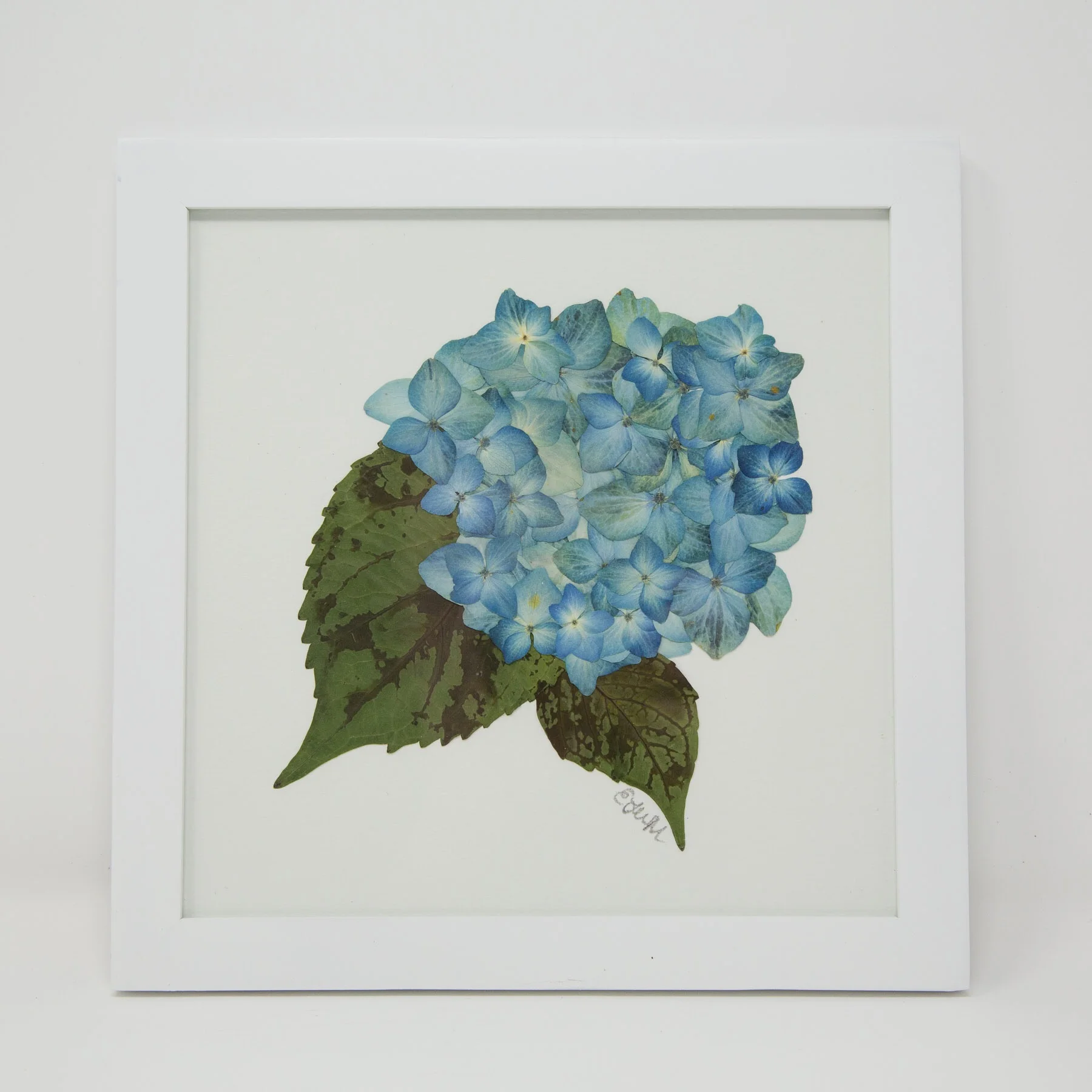 Pressed Flower Art Workshop - Co-hosted by the Charleston Museum