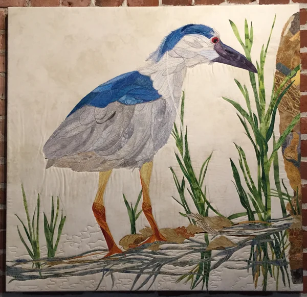 BLACK CAP NIGHT HERON