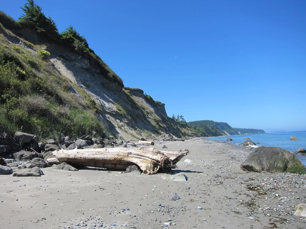 North Beach State Park, Quimper Peninsula, Washington One of several study photos taken for the design of this quilt.