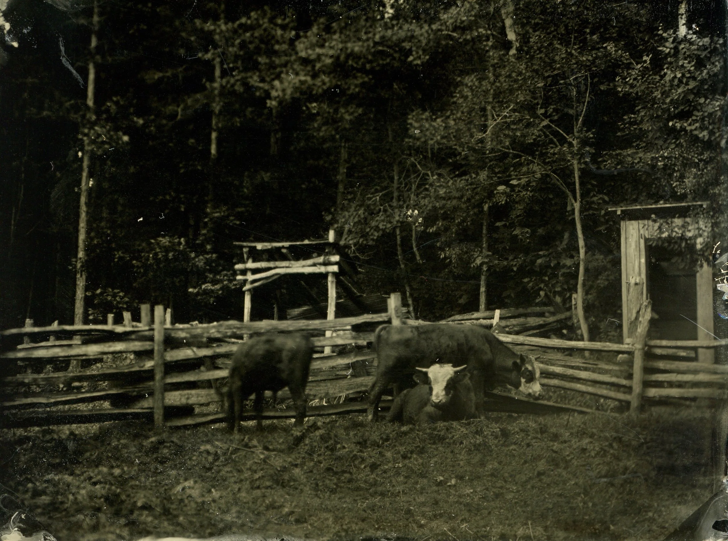 tintype ctt058 (2).jpg