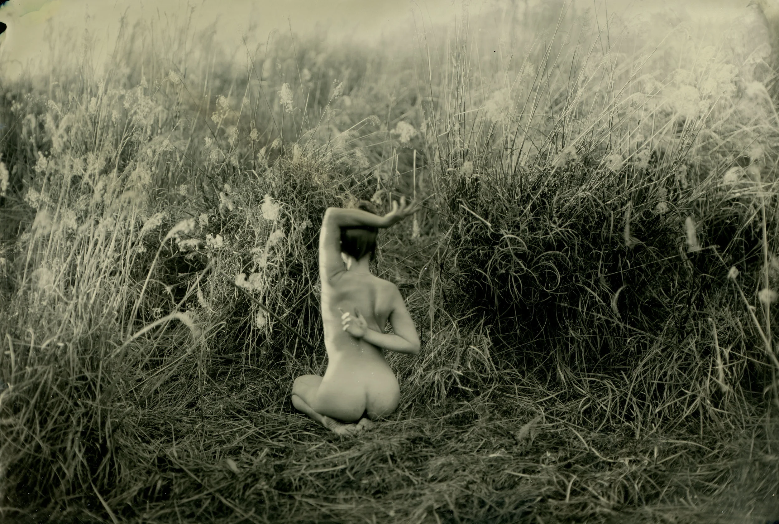 FIGURE I cropped.jpg