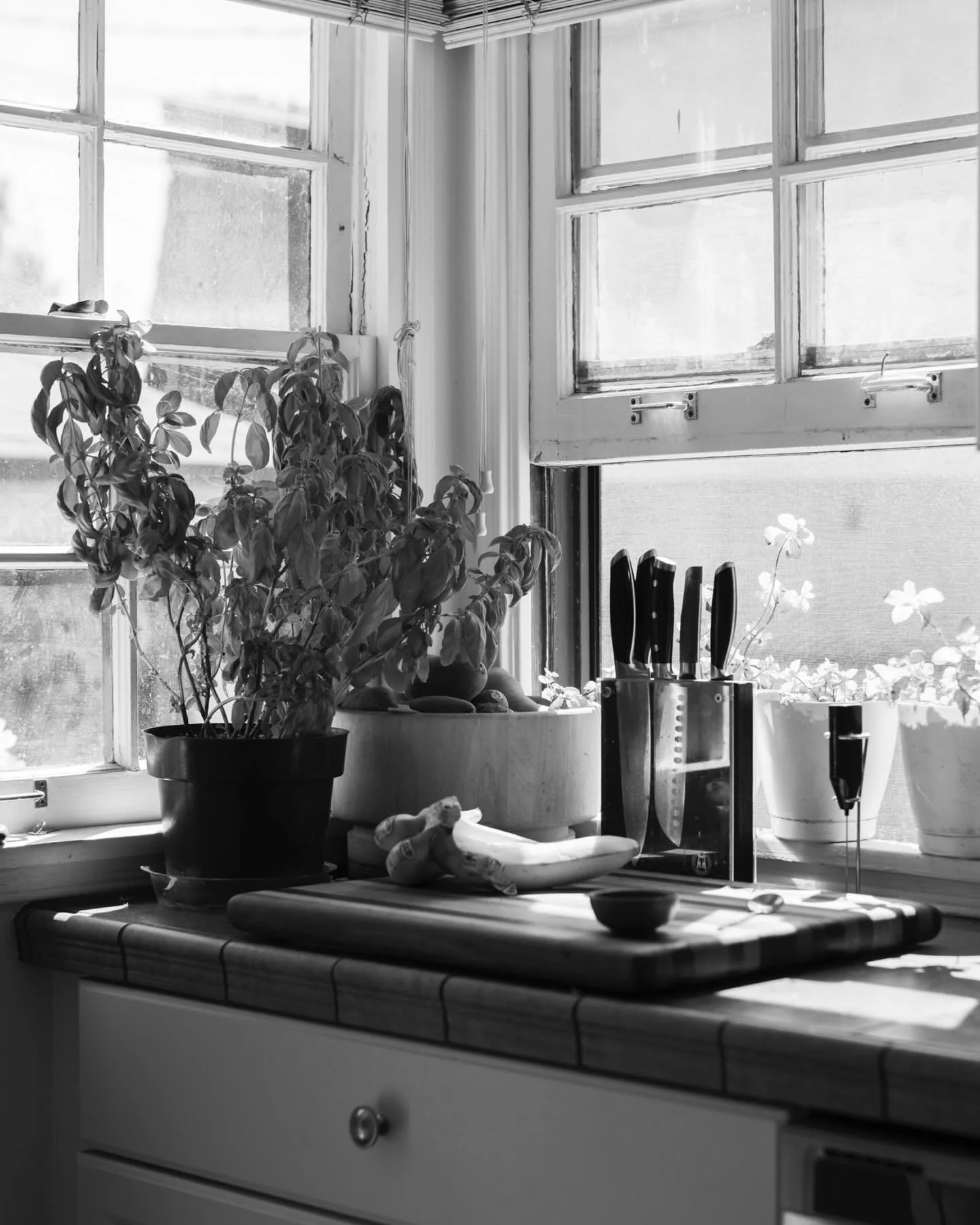 #chasingleitz x #ilfordhp5plus 
{and color}