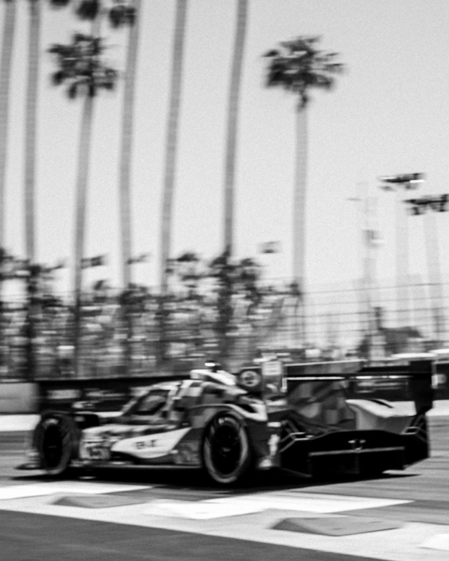 #chasingleitz x @gplongbeach