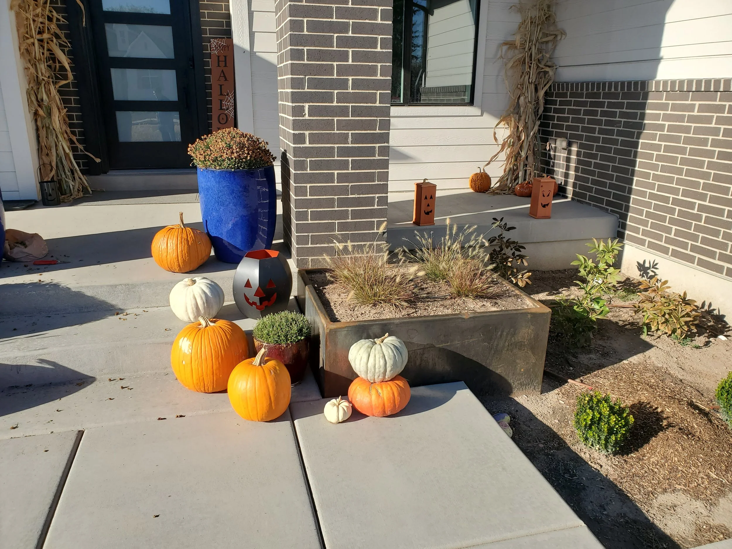 20211021_161239 - Copy.jpg