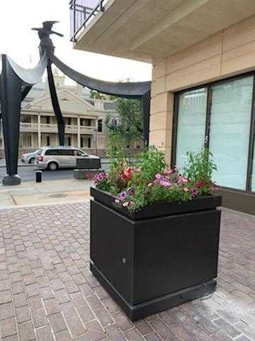 IMG_7866 - Copy - Copy.jpg