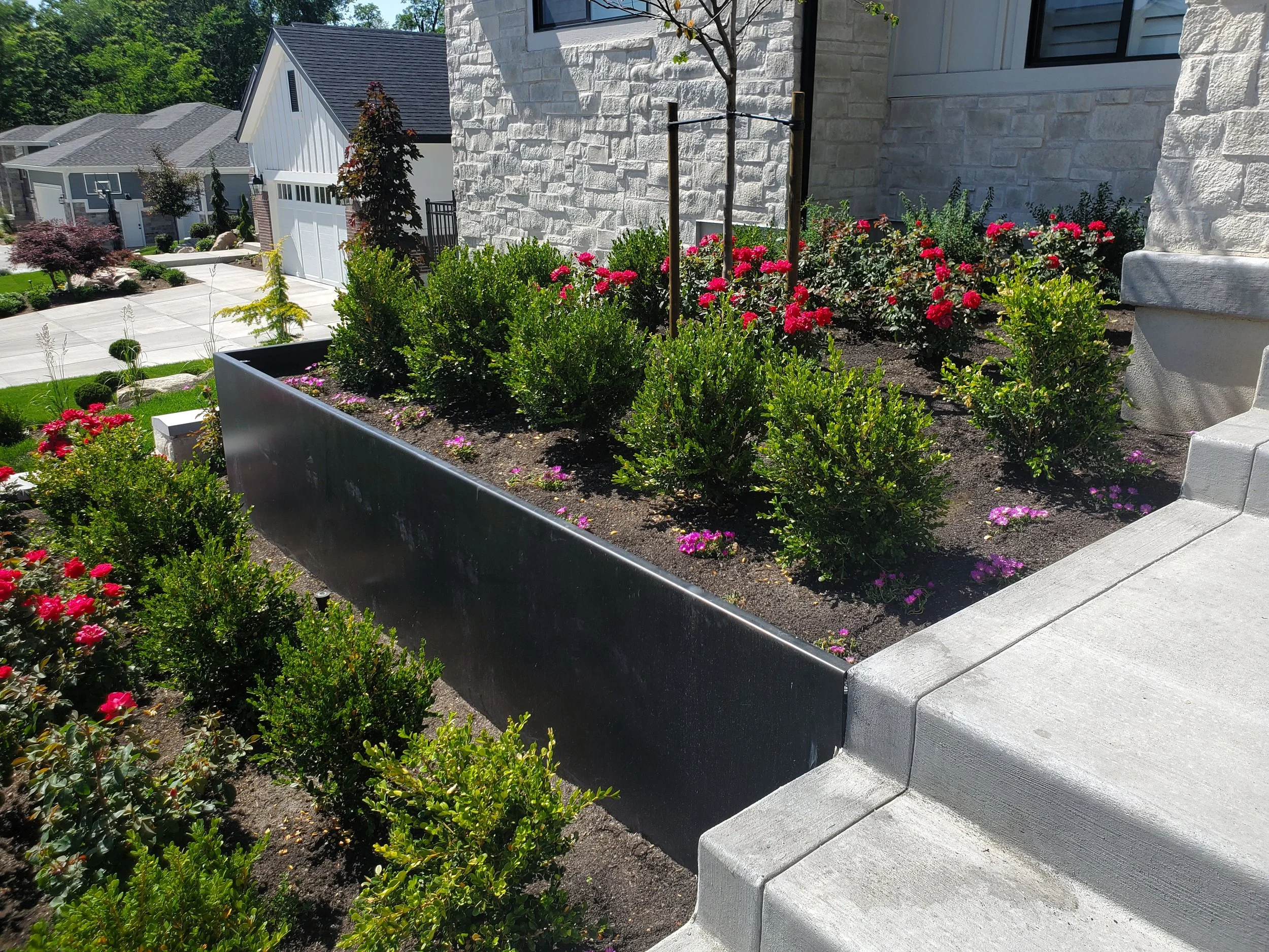 20210608_160611 - Copy.jpg