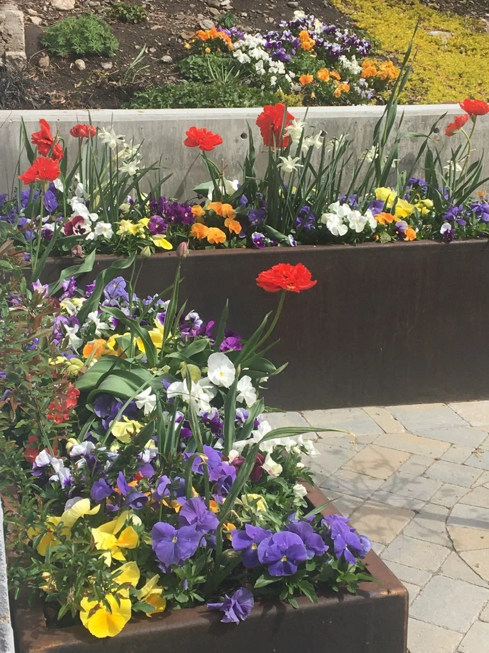 IMG_5146 - Copy - Copy.jpg