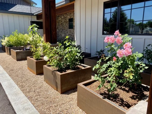 IMG_1691 - Copy - Copy.jpg