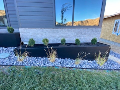 IMG_1011 - Copy - Copy.jpg