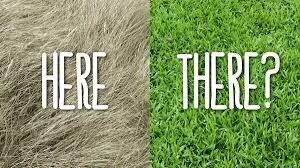 Lunar Eclipse Cycle 9