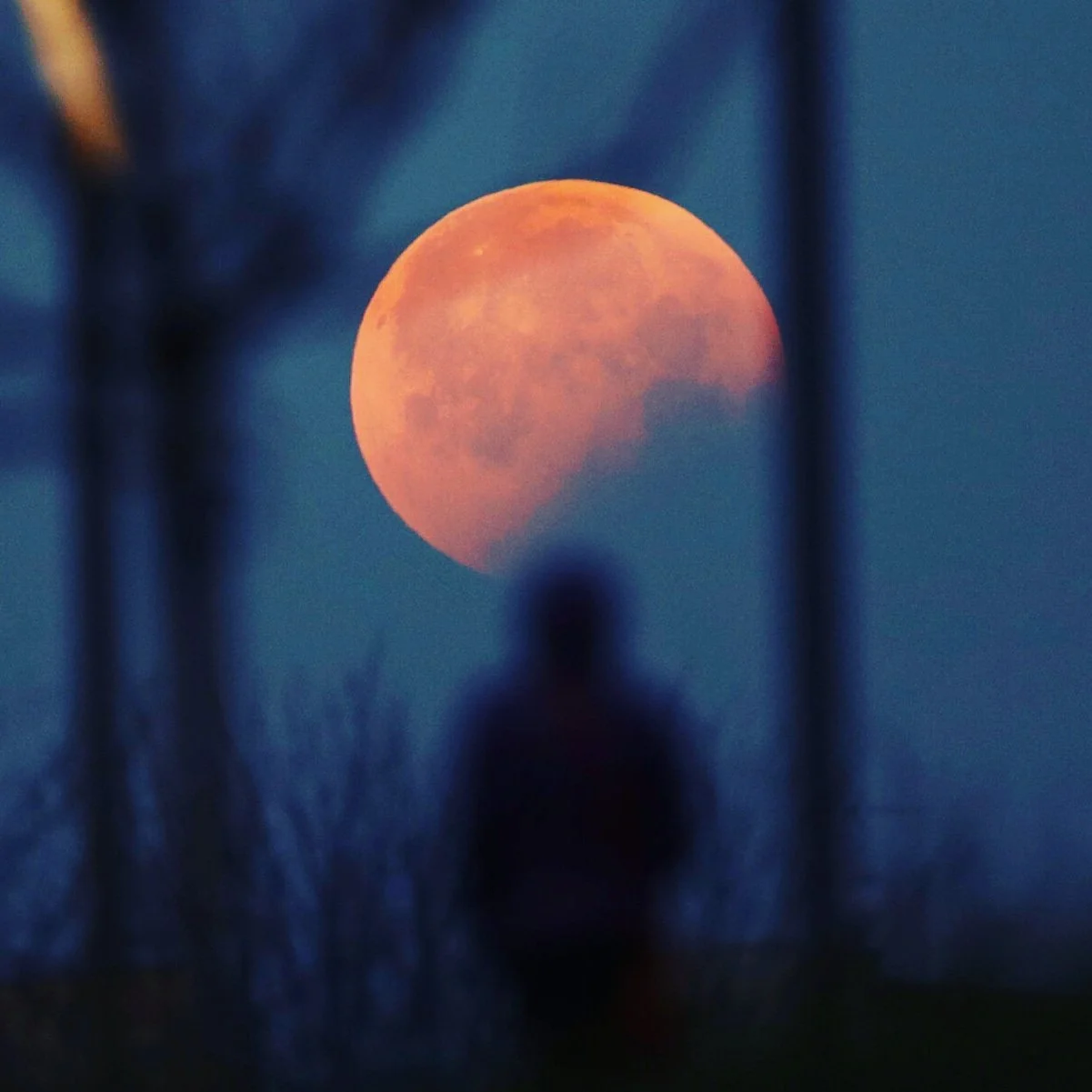 What's it worth? Cycle 2 Lunar Eclipse (Nov 19)