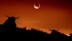 The Taurus/Cycle 2 Lunar Eclipse