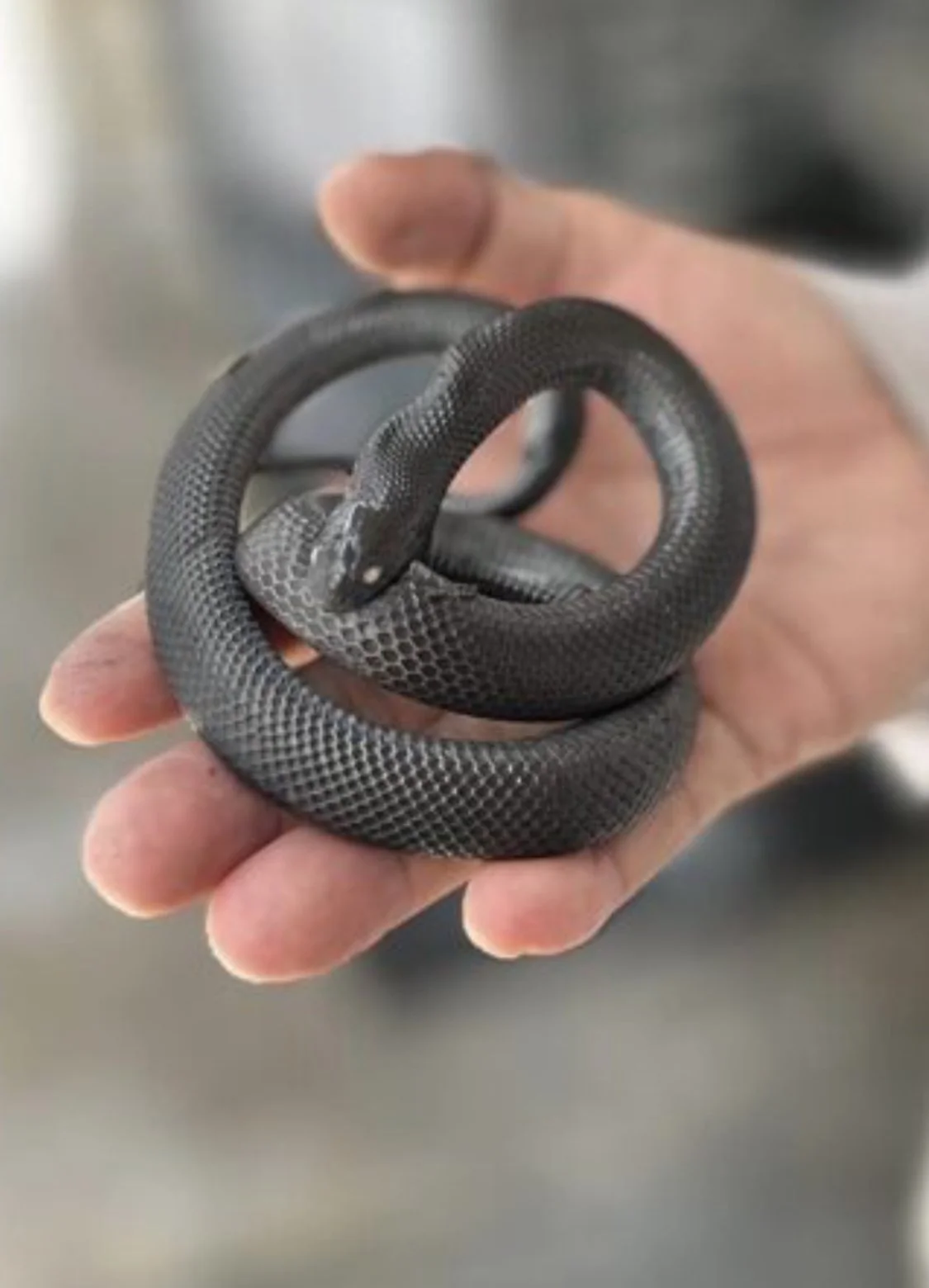 Power Trips: Mars square Pluto