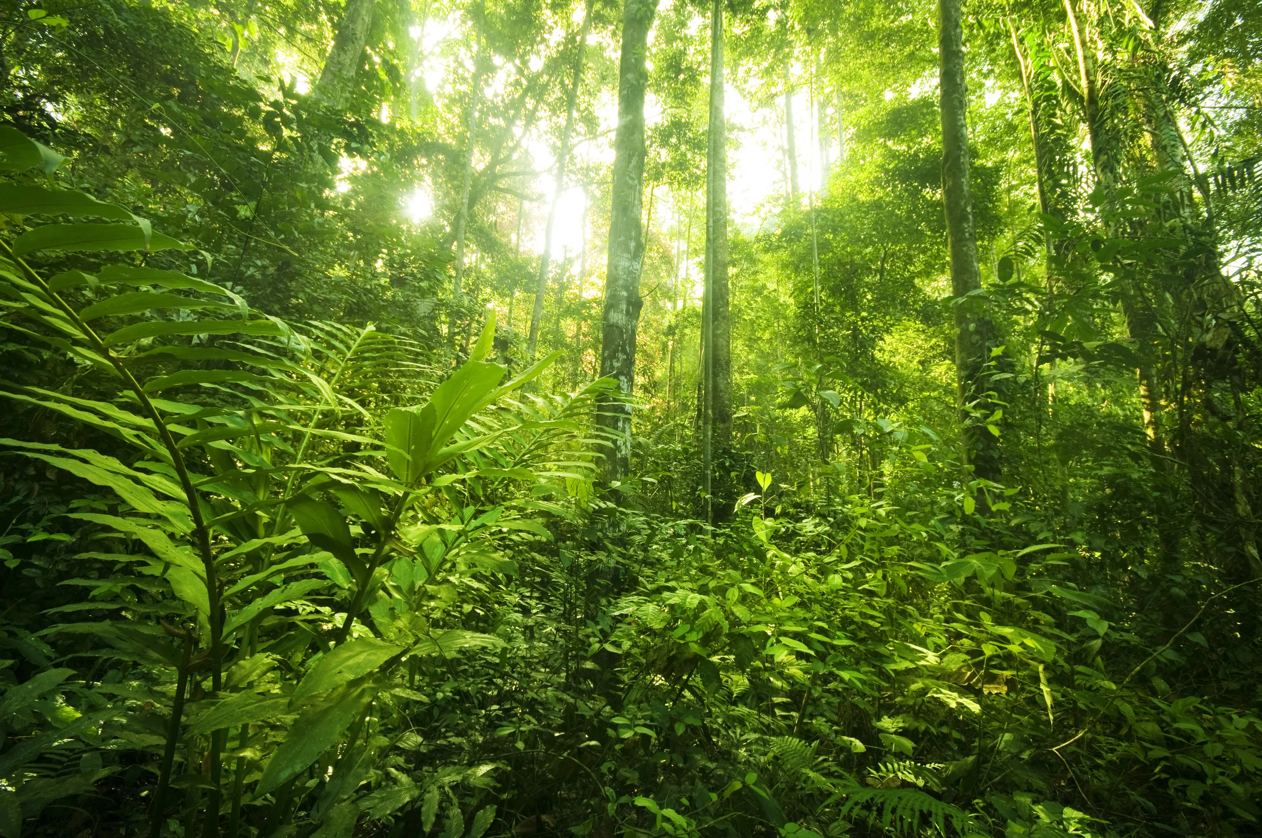 AdobeStock_177498269.jpeg