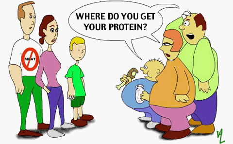 zz-protein.gif