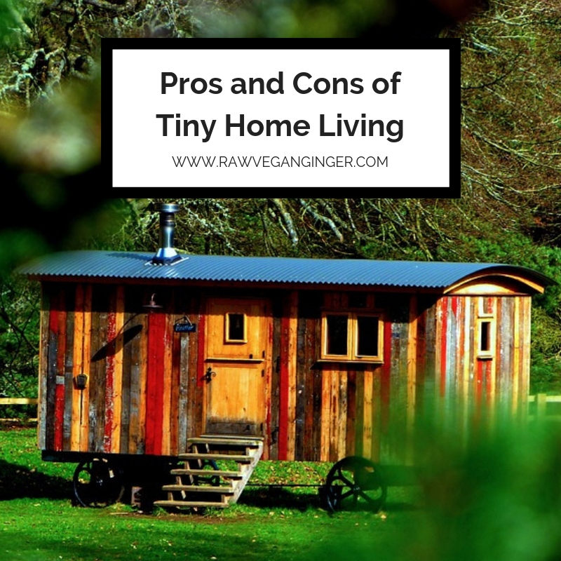 Pros and Cons of Tiny House Living