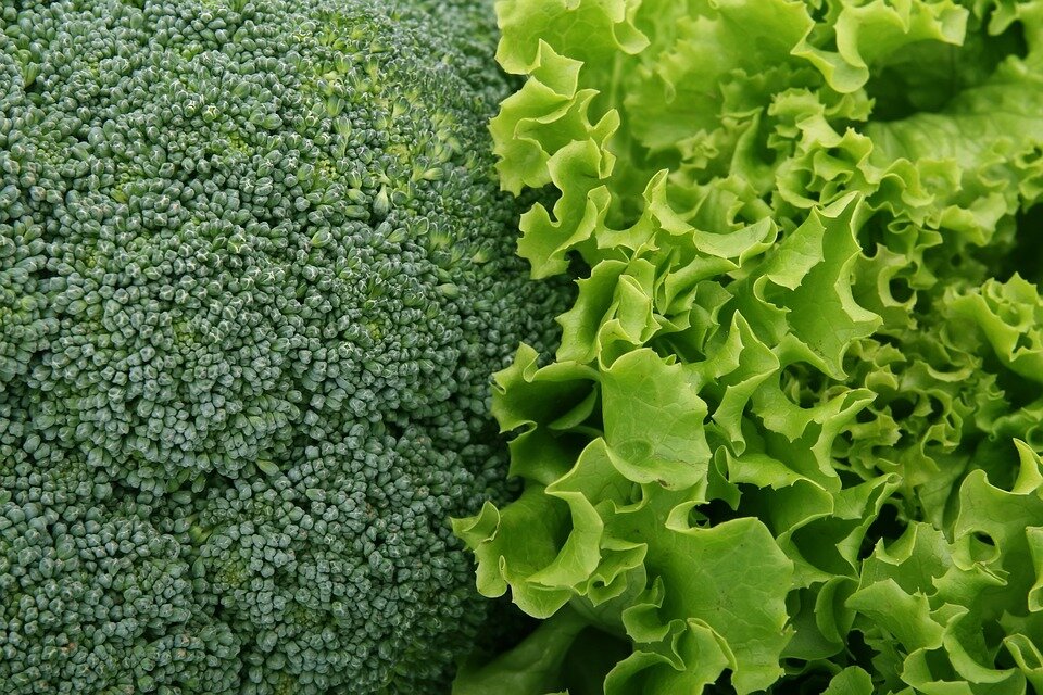 broccoli-1239430_960_720.jpg