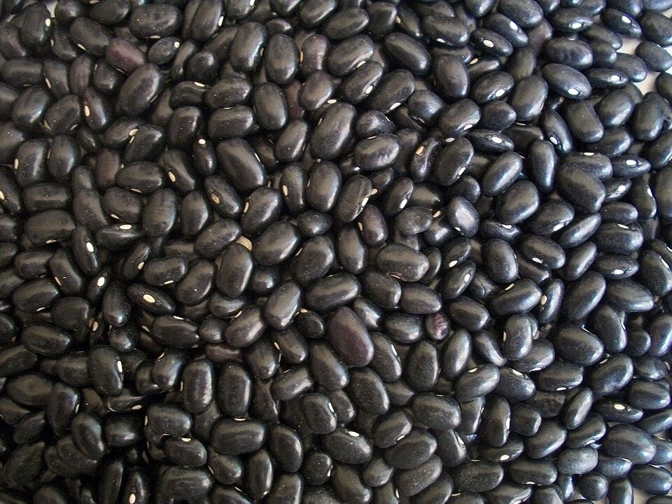 black-beans-14522_960_720.jpg
