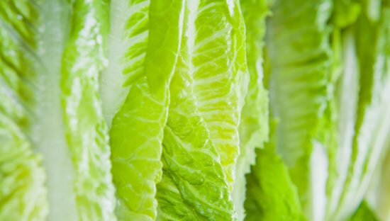 romaine-lettuce-leaves-550x312.jpg