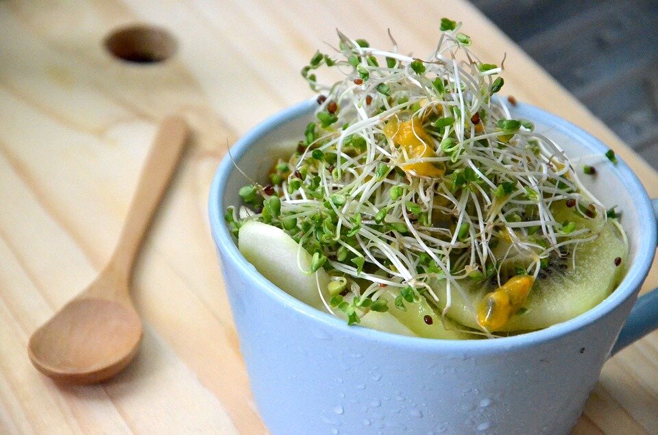 broccoli-sprouts-1977721_960_720.jpg