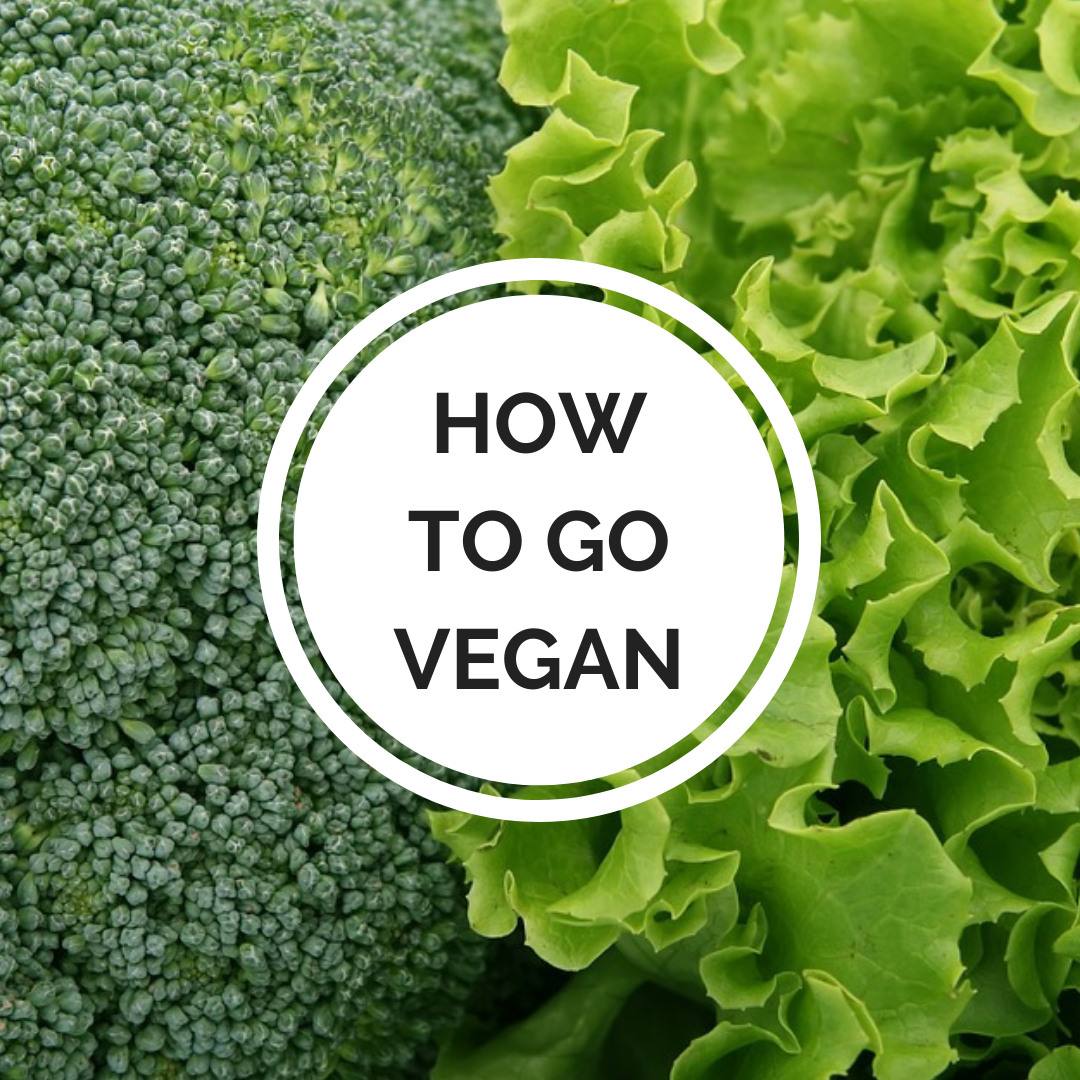 25 questions withraw vegan ginger.png