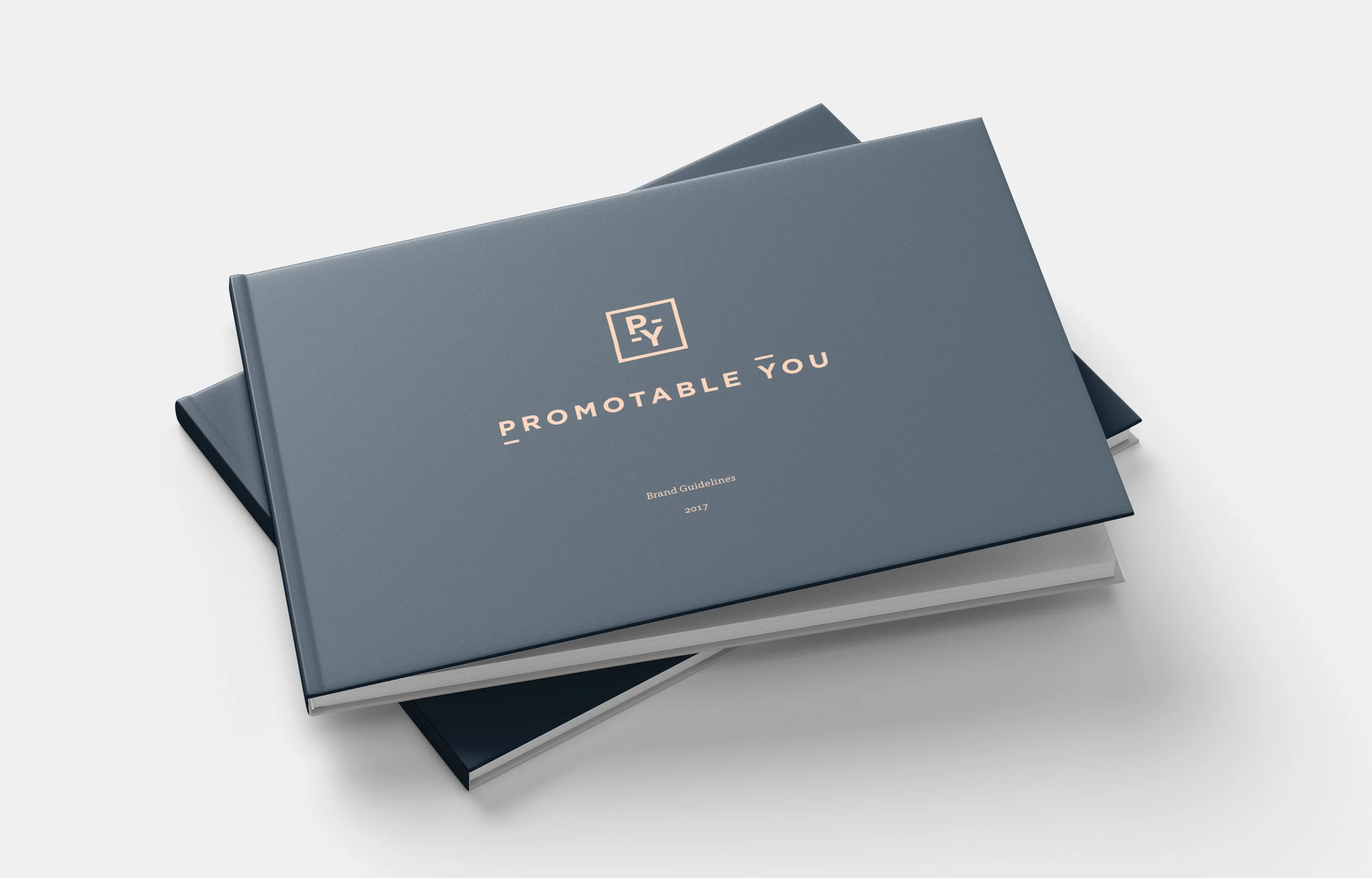 py-brand-guide-01.jpg