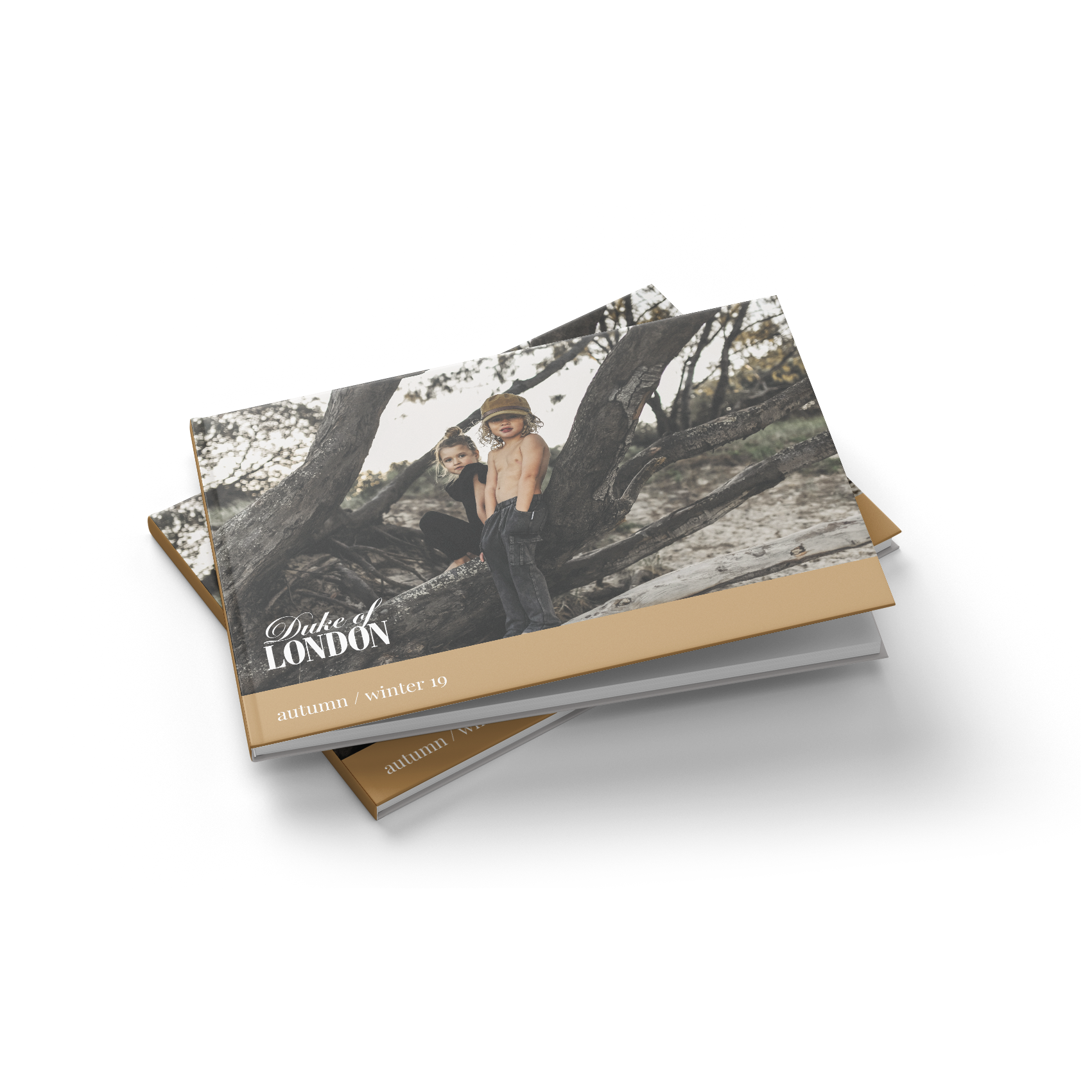 DOL_Cover_Lookbook_01.png