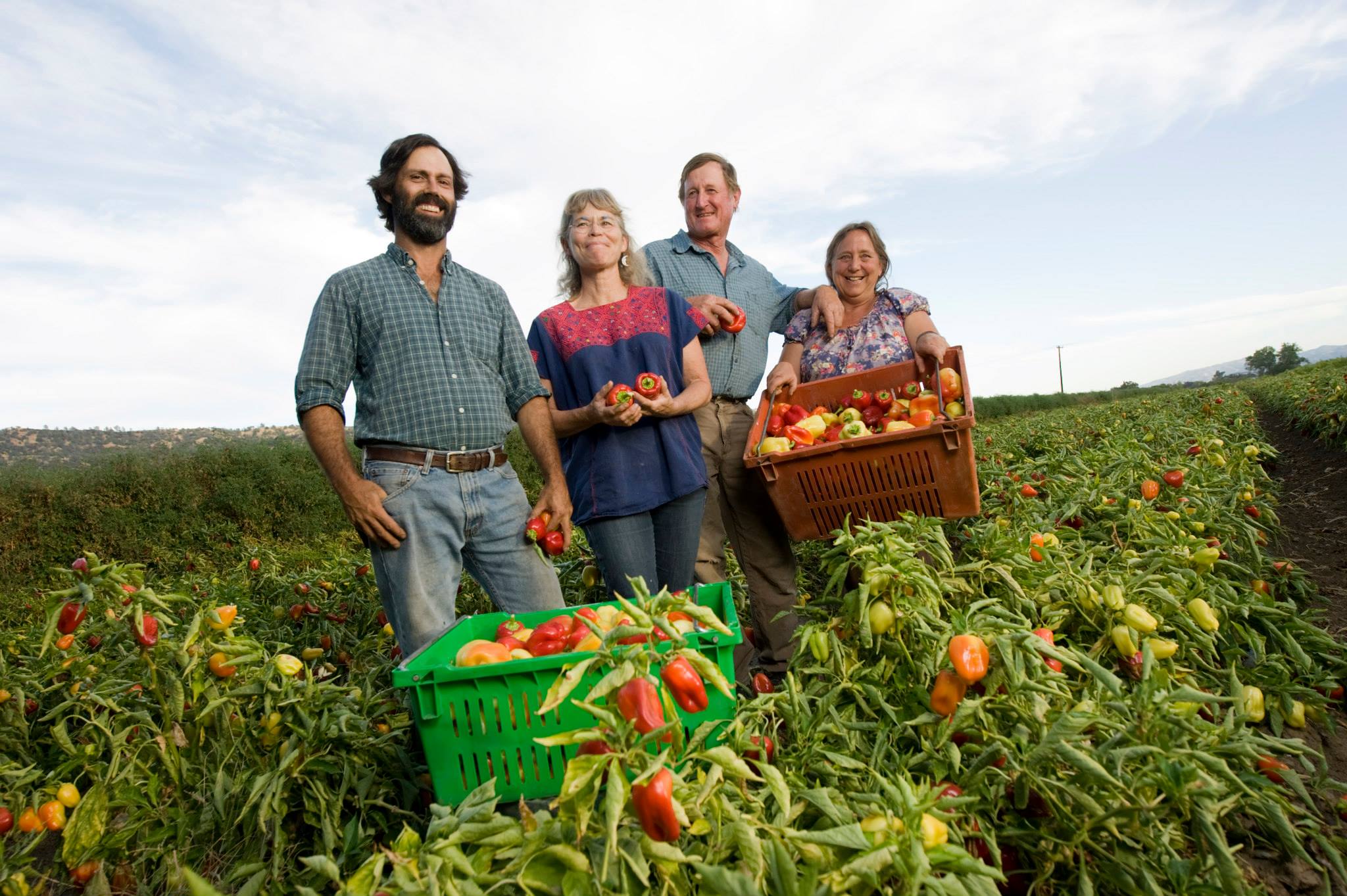 Full-Belly-Farm-owners-in-the-pepper-field.jpg