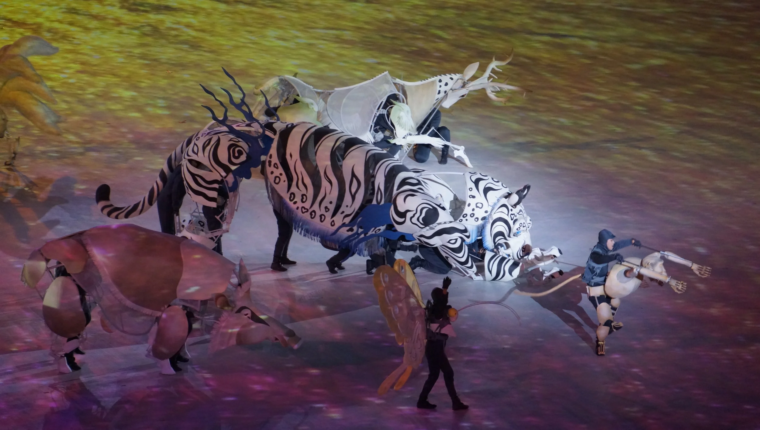 Opening Ceremony- White Tiger