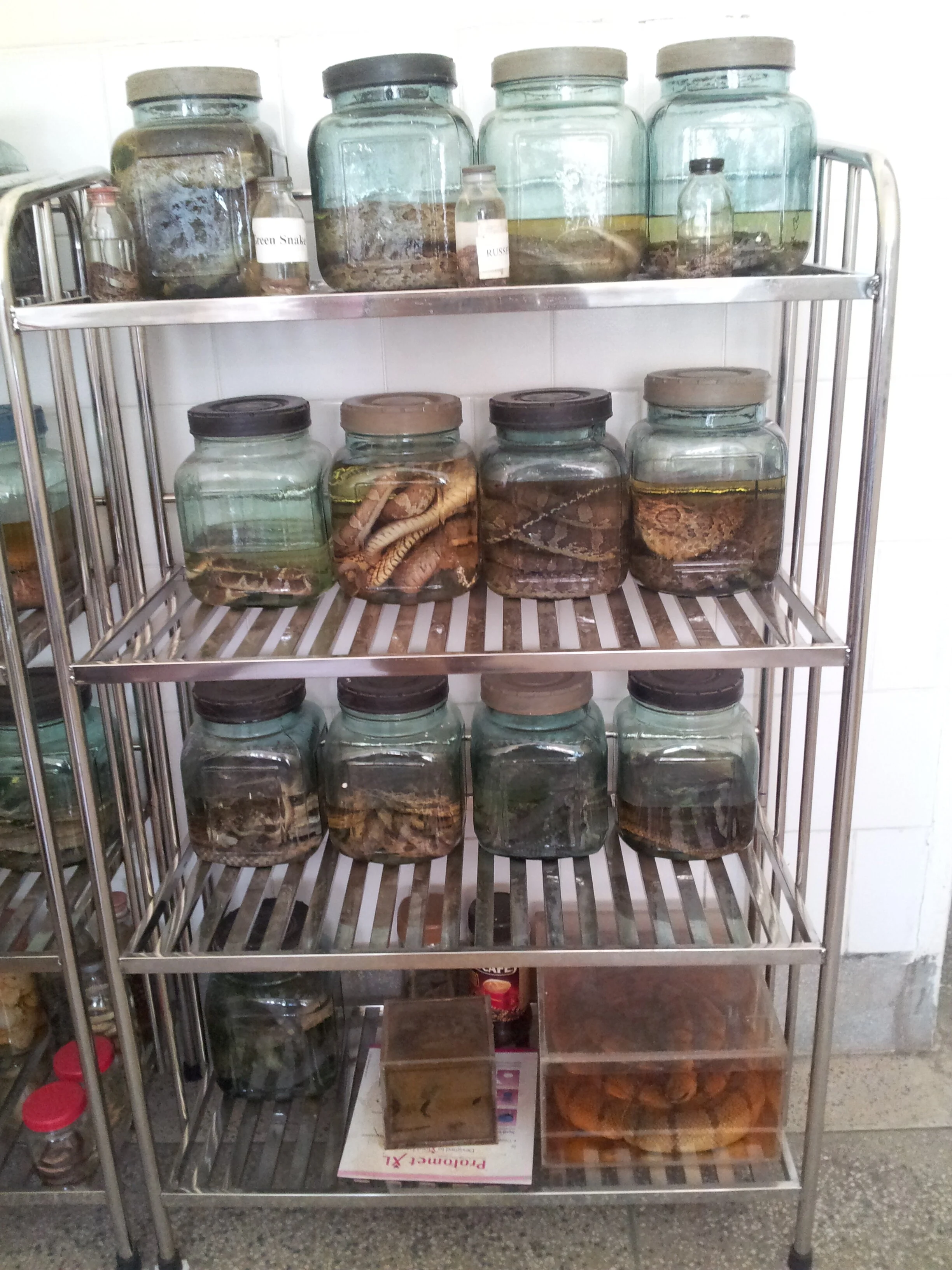 20130507_021705.jpg