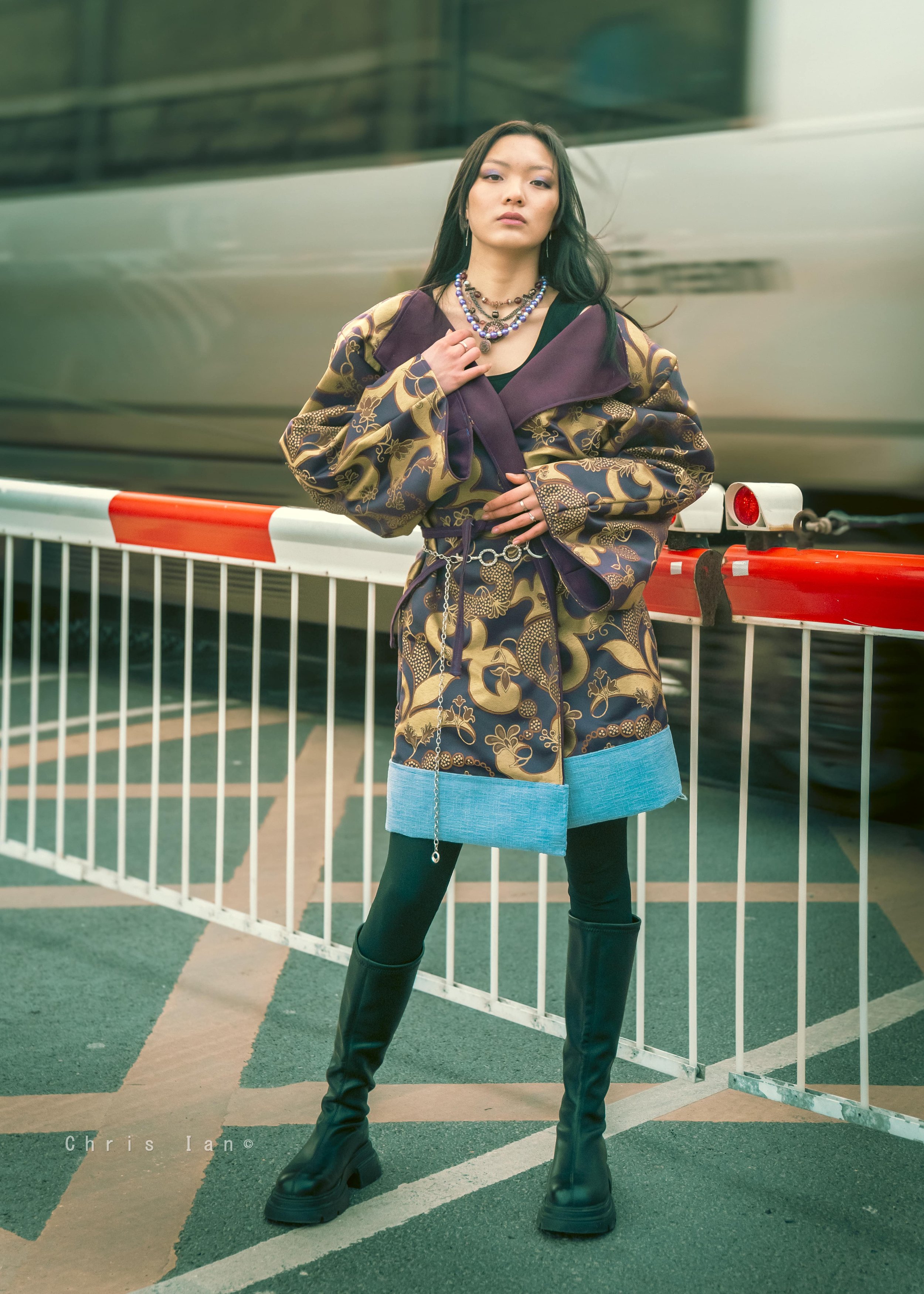 Purple train shot compressed.jpg